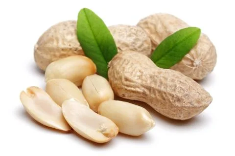 Peanuts isolated on white background Stock Photos