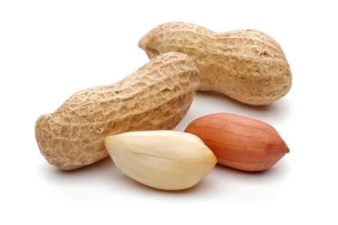 Peanuts isolated on white background Stock Photos