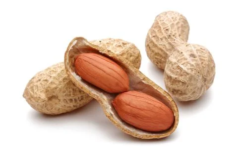 Peanuts isolated on white background Stock Photos