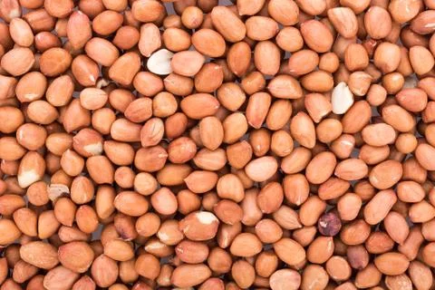 Peanuts isolated on white background Fotos Stock