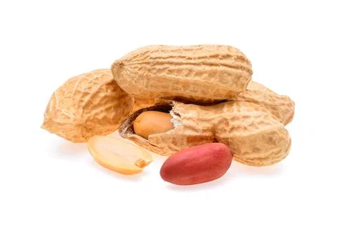 Peanuts isolated on white background Stock Photos