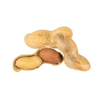 Peanuts isolated on white background Stock Photos