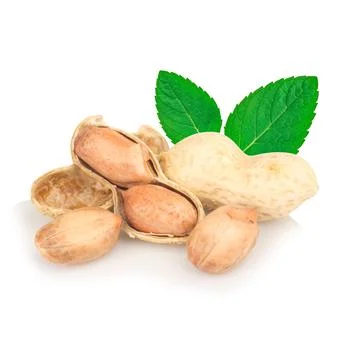 Peanuts isolated on white background Foto stock