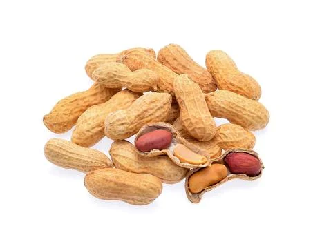Peanuts isolated on white background Stock Photos