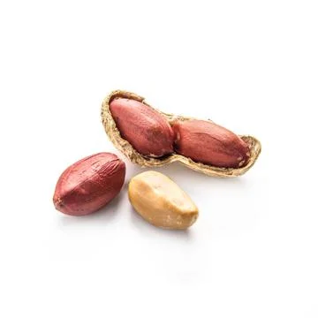 Peanuts isolated on white Stock Photos
