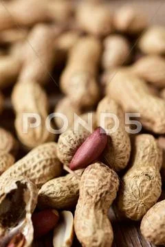Peanuts in its shells Stock Photos