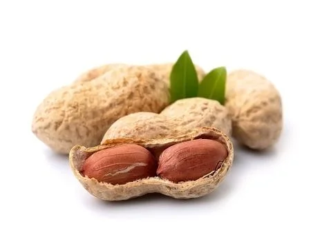 Peanuts with leaves Stock Photos