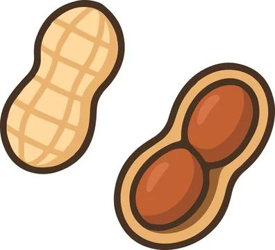 Peanuts, minimal simple vector illustration 스톡 일러스트