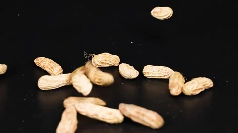 Peanuts in Motion on Black Surface Stock Footage 306198095