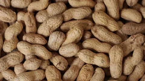 Peanuts in nutshell rotating as a background 库存影片 159604862