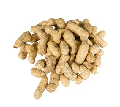 Peanuts or groundnuts in shell, isolated on a white background. Fotos de archivo