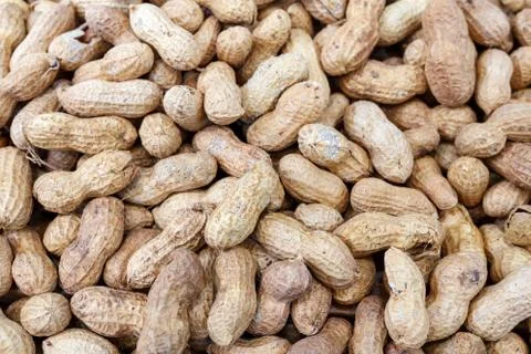 Peanuts or groundnuts in shell Stock-Fotos