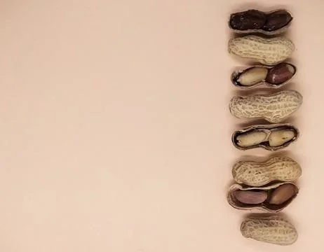 Peanuts on orange background isolate Stock Photos