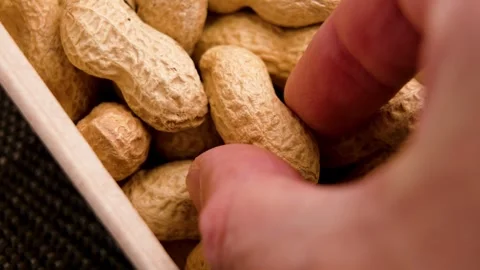 Peanuts in package and hand taking organic nut Stock Footage 313110029