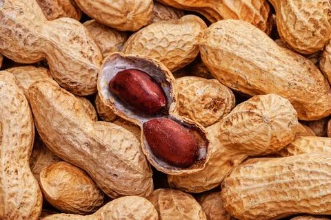 Peanuts Peanuts in shell close up on the white background Copyright: xZoon... 스톡 사진