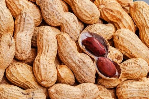 Peanuts Peanuts in shell close up on the white background Copyright: xZoon... Stock Photos