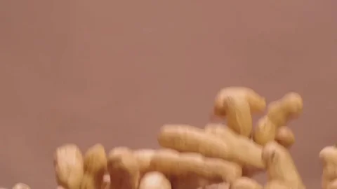 Peanuts in the peel fly into the air in slow mo Stock Footage 76894261