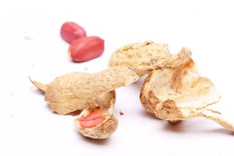 Peanuts peel isolated on white background 스톡 사진