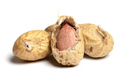Peanuts in peel isolated on a white background Stock Photos