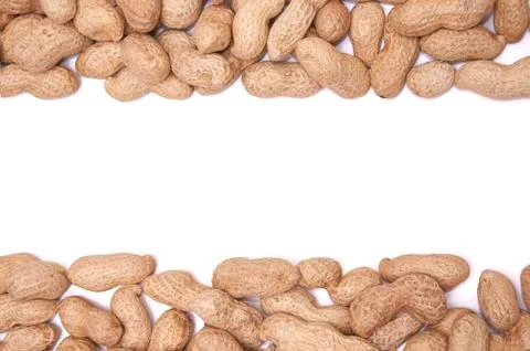 Peanuts in a peel on a white background isolate Stock Photos