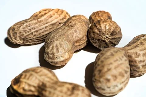 Peanuts with peel on white background. Stock Photos