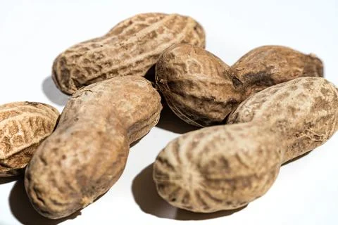 Peanuts with peel on white background. Stock Photos