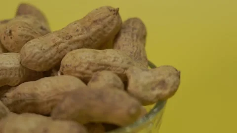 Peanuts in peel on a yellow background. Close-up Stock Footage 134444554