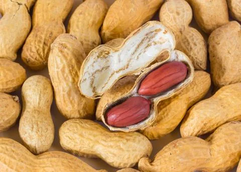 Peanuts Stock Photos