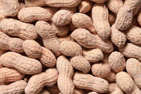 Peanuts Stock Photos