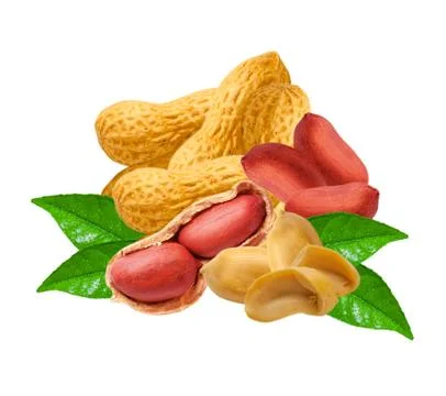 Peanuts Stock Photos