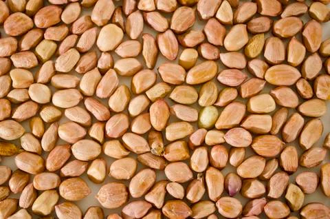 Peanuts Stock Photos
