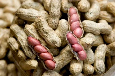 Peanuts Foto stock
