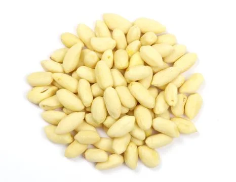 Peanuts 写真素材