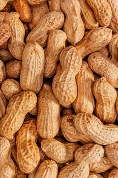Peanuts 스톡 사진