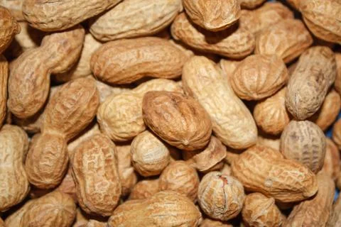 Peanuts Stock Photos