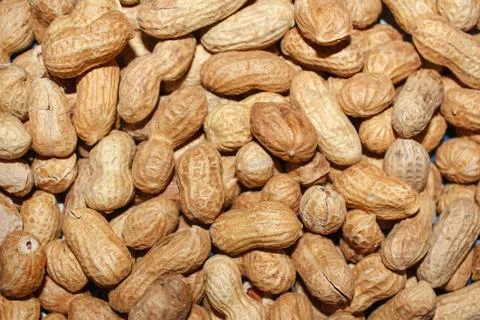 Peanuts Stock Photos