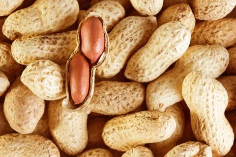 Peanuts Stock Photos