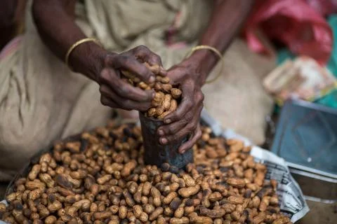 Peanuts Stock Photos