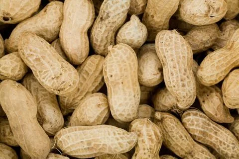 Peanuts Stock Photos
