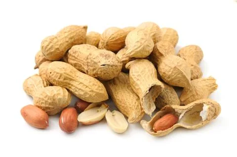 Peanuts 写真素材