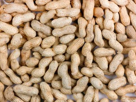 Peanuts Stock Photos