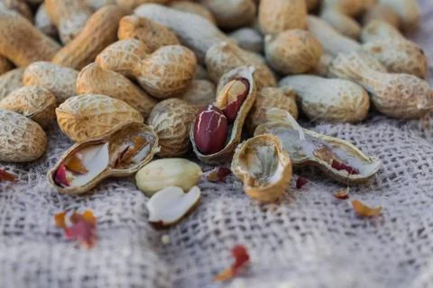 Peanuts Stock Photos