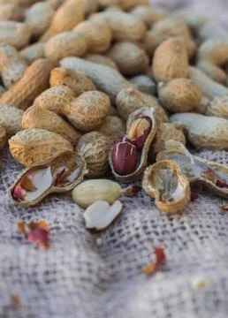 Peanuts Stock Photos