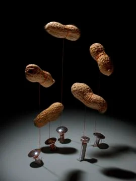 Peanuts Stock Photos