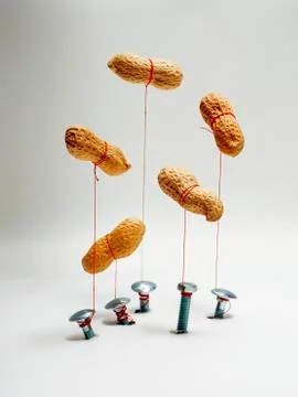 Peanuts Stock Photos