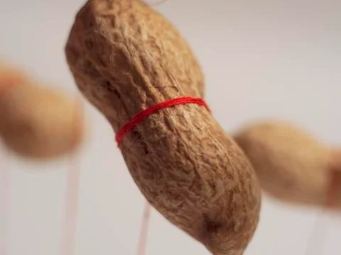 Peanuts Stock Photos