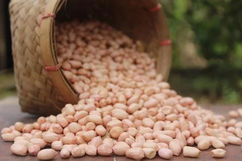 Peanuts Stock Photos