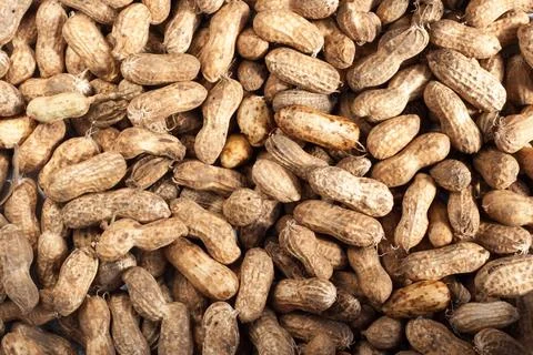 Peanuts Stock Photos