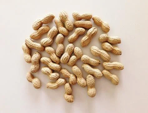 Peanuts Stock Photos