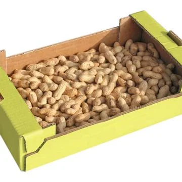 Peanuts picture Stock Photos